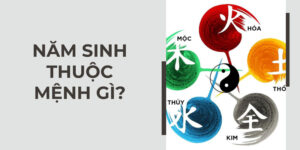 1980 mệnh gì? Giải mã tuổi Canh Thân 1980 hợp mệnh, màu, hướng và tuổi nào nhất